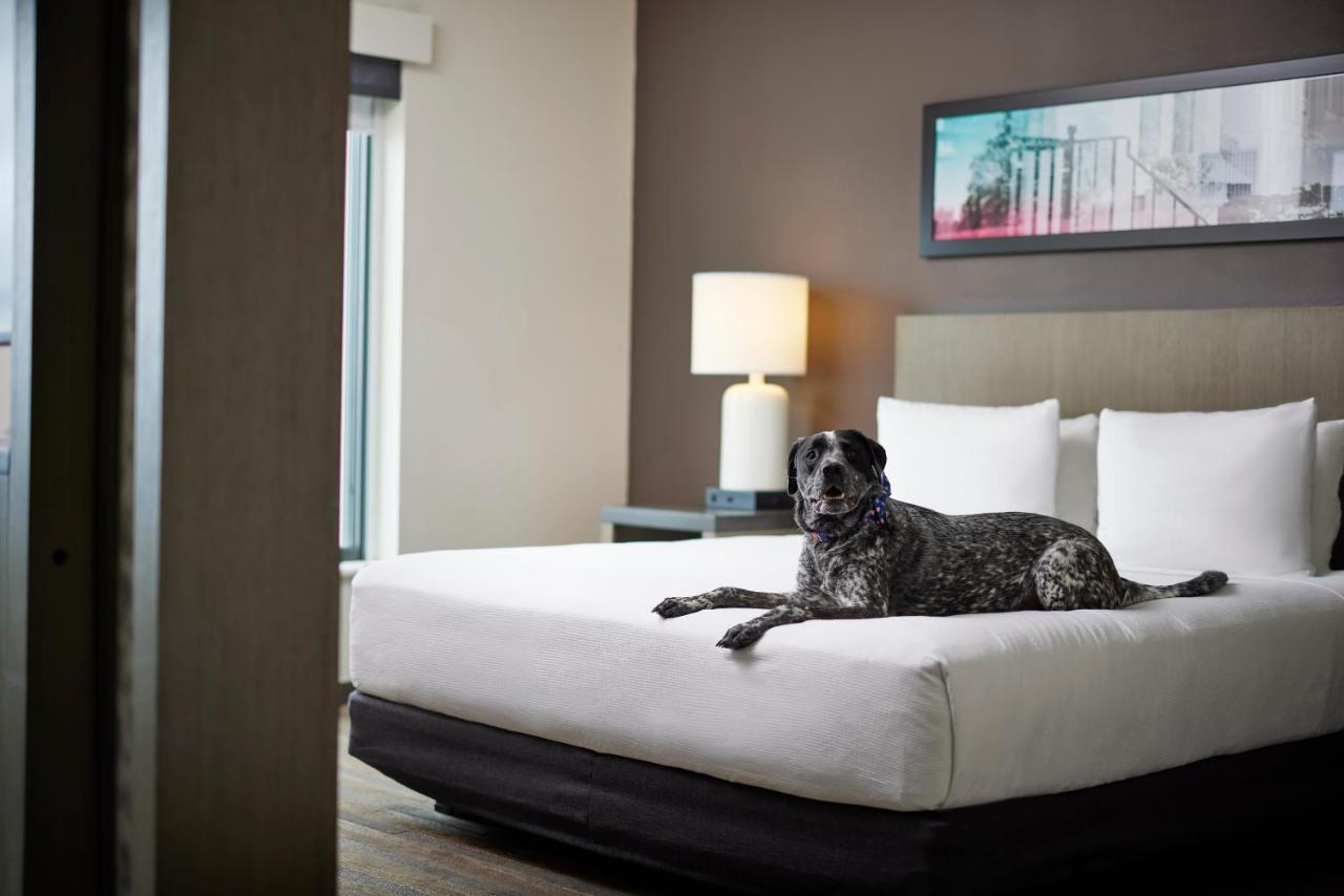 Hyatt House Denver/Downtown Экстерьер фото